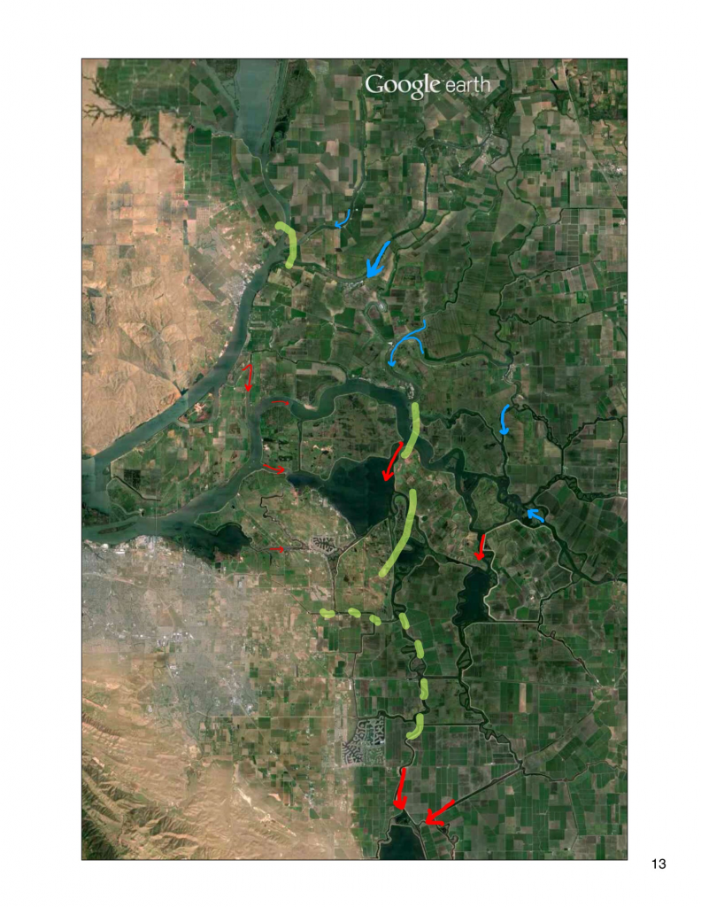Figure 2.  Freshwater inflows to the Delta (blue arrows) including transfer water must mix first with many other source waters including brackish waters (green lines) from San Francisco Bay.  South Delta exports draw water across the Delta (red arrows).