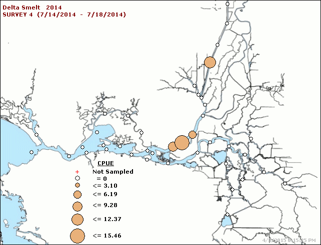 igure 3.  Catch distribution of Delta Smelt in CDFW Summer Townet Survey, July 2014.  (Source: http://www.dfg.ca.gov/delta/data/townet/ )