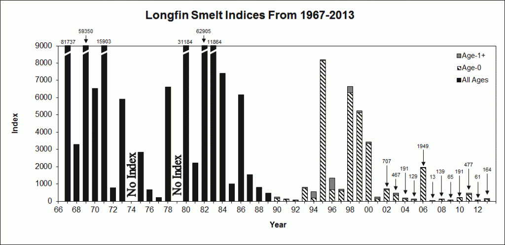Longfin Smelt Fall Midwater Trawl Index – 1967-2013.