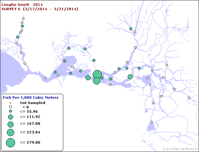 Figure 6.  Longfin Smelt catch distribution in Smelt Larval Survey #6,  late March 2015.  (CDFW data summary)