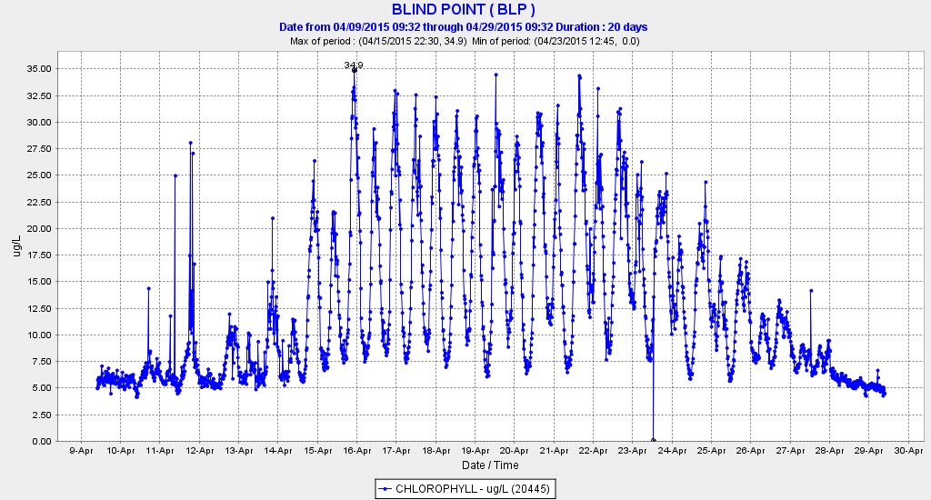 Figure 1.  Chlorophyll levels at Blind Point in the western Delta in the San Joaquin River channel during April 2015.  (Source: CDEC)