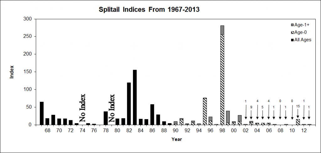 Splitail Indices Graph