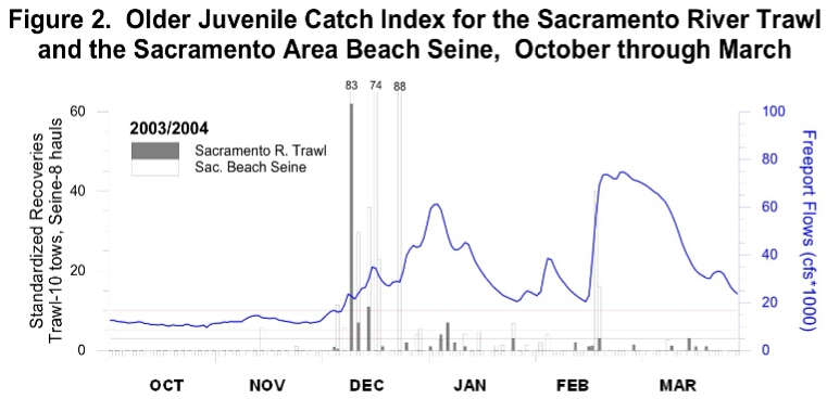 Graph of Occurrence of juvenile salmon