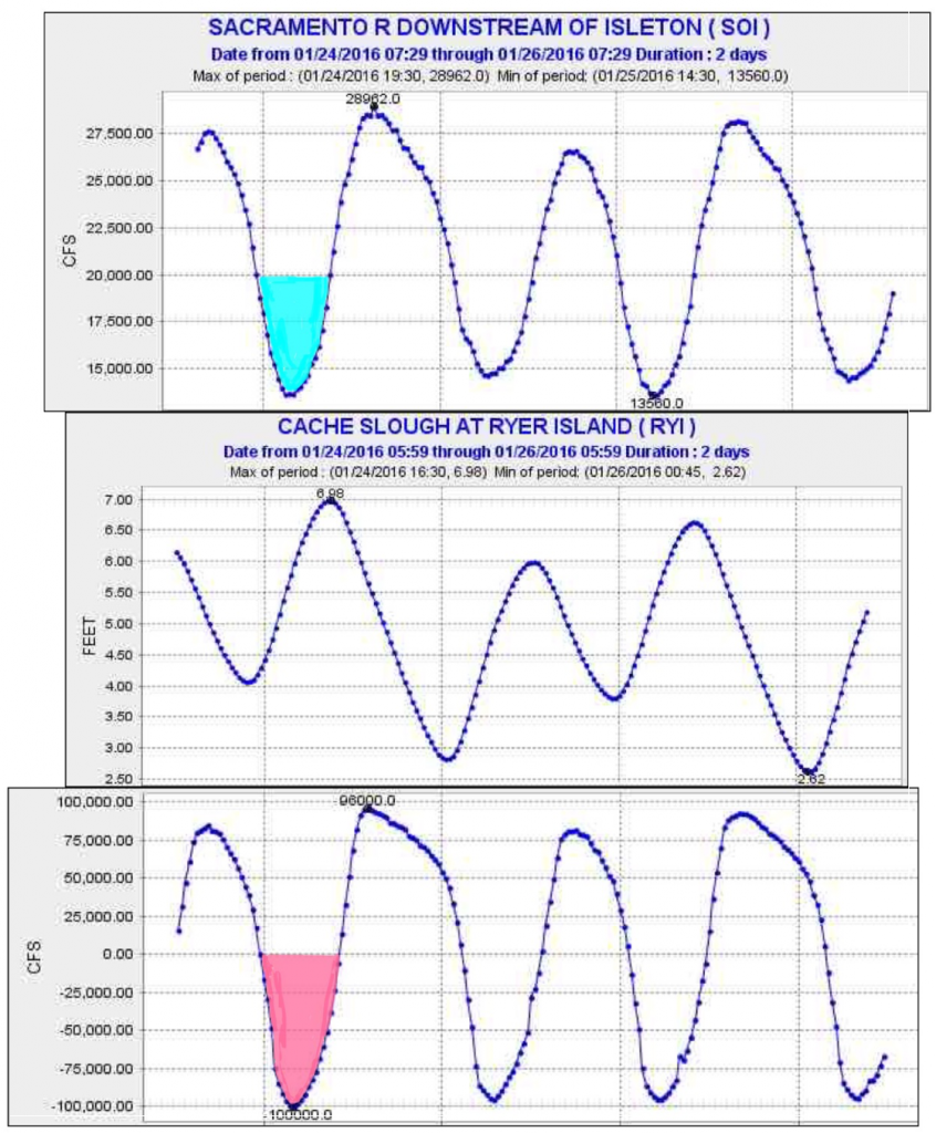 Graph of Tidal flows and stages Cache Slough and Sacramento Jan 2016