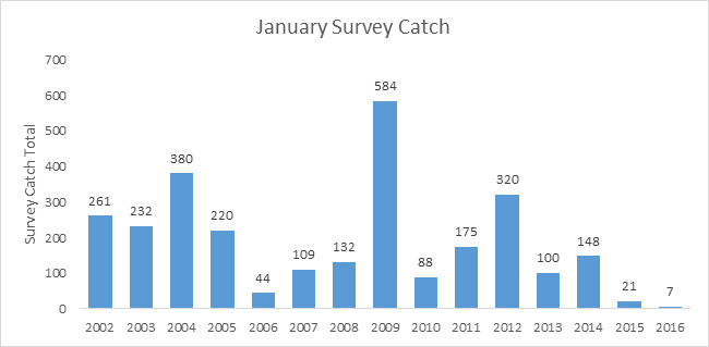 Graph of January Survey Catch