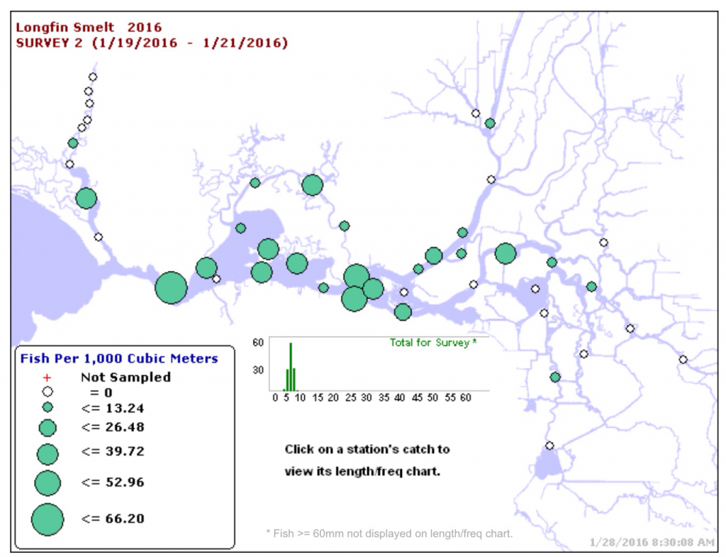 Map of Jan 2016 Catches Longfin Smelt