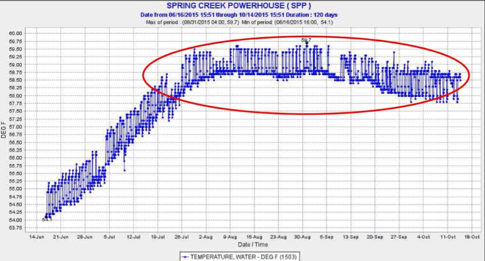 Figure 3. Warm water (red circle) entering Keswick Reservoir from Whiskeytown Reservoir via Spring Creek Powerhouse in summer 2015. Daily range of 1°F is due to hydropeaking operations.