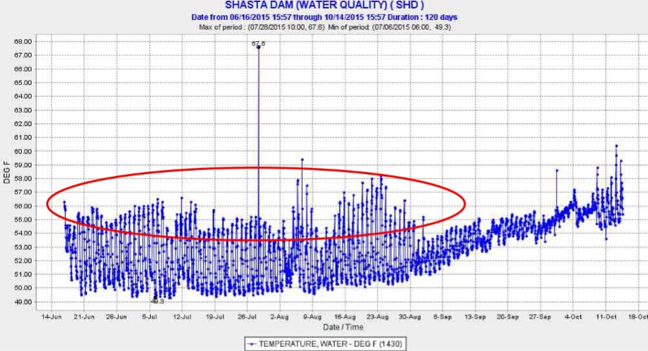 Figure 4. Warm water releases (red circle) from Shasta Reservoir during daily hydropeaking operations in summer 2015. Release water temperatures in the first week of August and September were lower because of lower afternoon hydropower peaking releases of warm water along with more night-morning cold water pool releases.