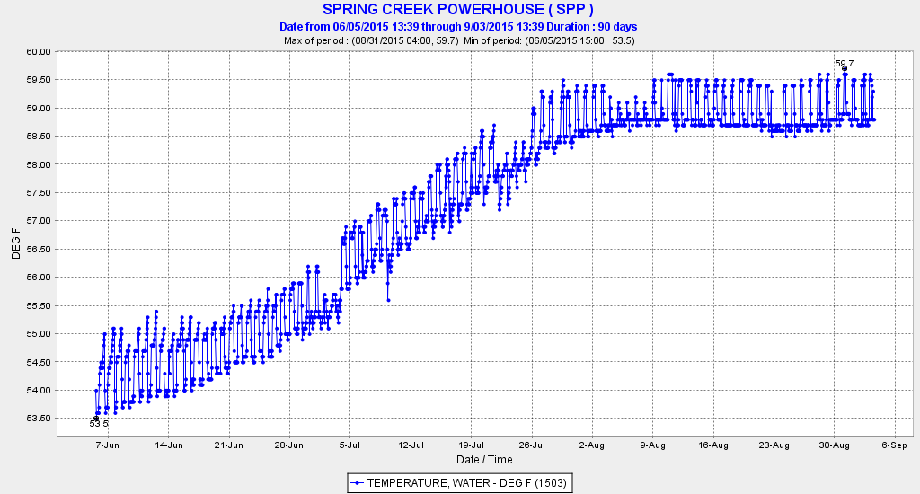 Figure 4. Water temperature in Spring Creek Powerhouse June to September 2015. 