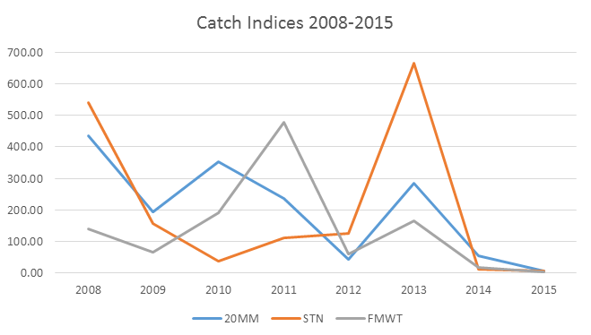 Figure 2. Catch indices trends for longfin smelt from 2008-2015 in three major Bay-Delta surveys: March 20-mm Survey, June Summer Townet Survey, and Fall Midwater Trawl Survey. (Note: The 20-mm index for March 2016 was 6.) 