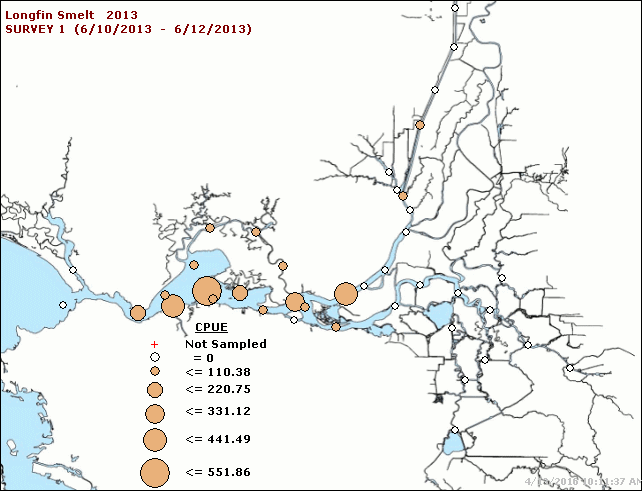 Figure 6. Catch distribution of longfin smelt in Survey 1 of 2013 Townet Survey (6/10-6/12).