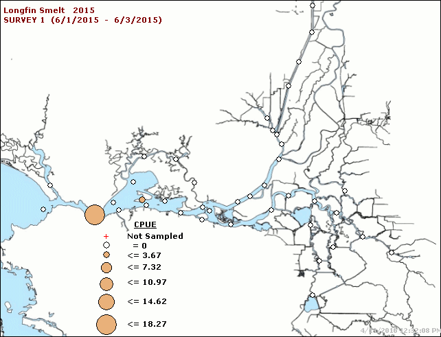 Figure 7. Catch distribution of longfin smelt in Survey 1 of 2015 Townet Survey (6/1-6/3).