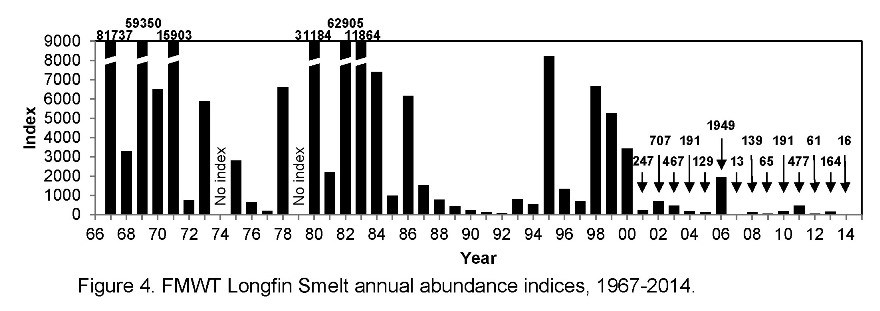 Figure 1. Longfin smelt index from Fall Midwater Trawl Survey 1967-2014. The index in 2015 was a record low 4.