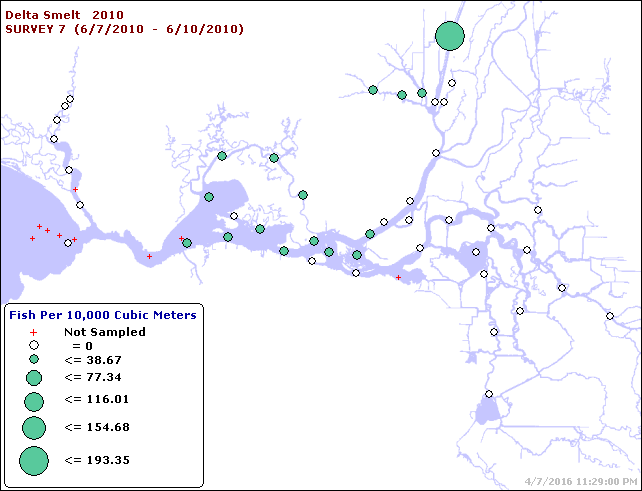 Figure 4. Early June 2010 Delta smelt distribution from 20-mm Survey.