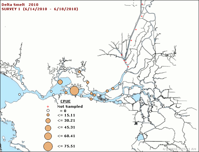 Figure 5. June 2010 Delta smelt distribution from Summer Townet Survey.