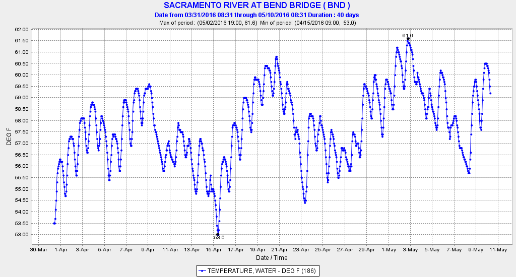 Water temperature in past month at Bend Bridge near Red Bluff. Note: in 2010, the last below normal water year, water temperature did not exceed 58°F during first 12 days in May.