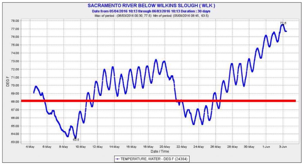 Figure 3. Water temperature of Sacramento River at Wilkins Slough (RM 125) in May and early June 2016. Target for sturgeon and other fish is 68°F (red line).