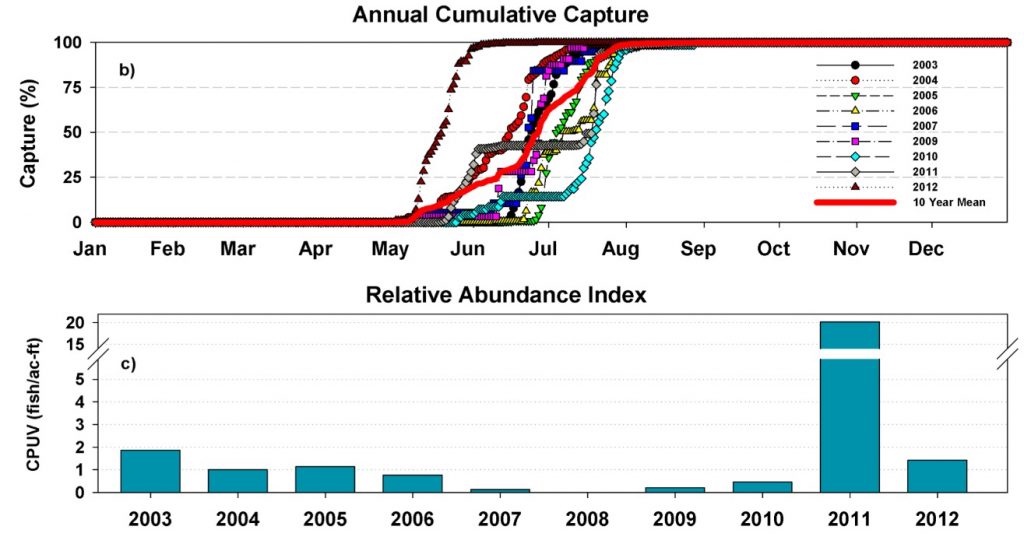 Figure 6. Capture patterns of young Green sturgeon in USFWS traps at Red Bluff 2003-2012.