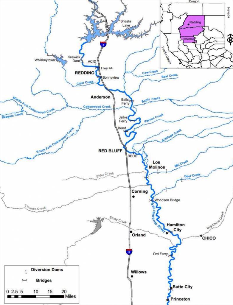 Figure 1. Map of the upper Sacramento River Basin (Princeton Ferry to Keswick Dam)