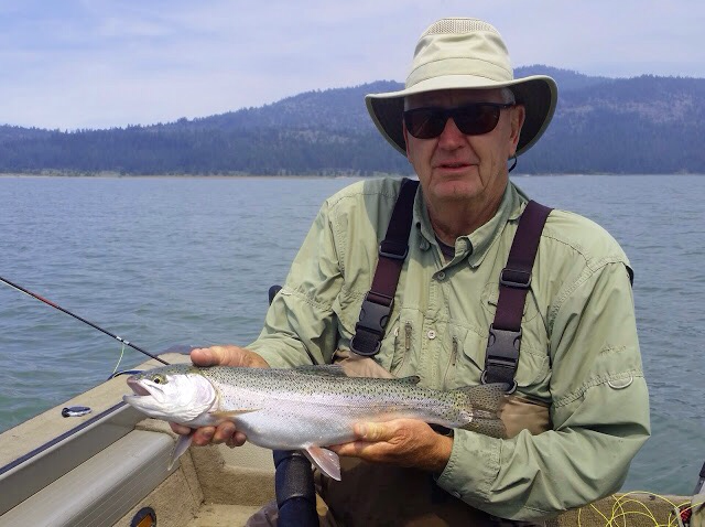 Typical “trophy-sized” rainbow trout caught (and released) in May 2016 from Lake Davis. (Jon Baiocchi photo )