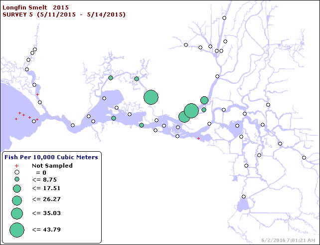 Map of Longfin smelt young densities from May 2015 20-mm Survey