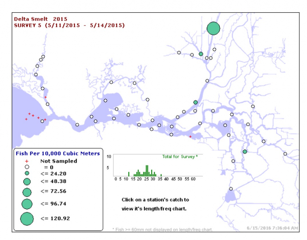 Figure 4. Mid-June 20-mm Smelt Survey 2015. Large green dot is in Sacramento Deep Water Ship Channel.