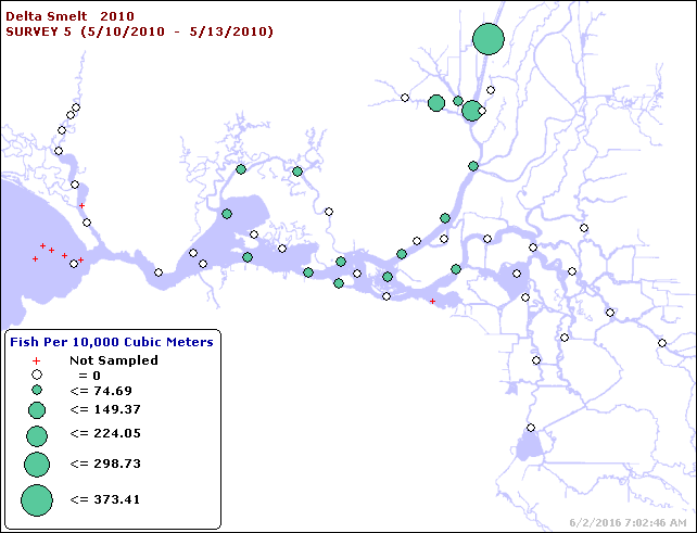 Map of Delta smelt young densities from May 2010 20-mm Survey