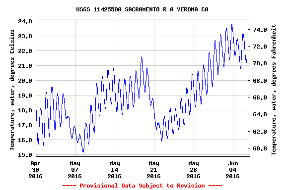 Chart 7. Water temperature of the Sacramento River at Verona (RM 80) from May to early June 2016.