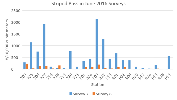  Figure 1. Striped bass juvenile density in the Delta in June 2016 20-mm surveys. The 700 stations are from the lower Sacramento River channel of the west and north Delta. The 800 stations are from the lower San Joaquin River channel of the west and central Delta. The 900 stations are from interior Delta channels. ( http://www.dfg.ca.gov/delta/data/20mm/stations.asp )