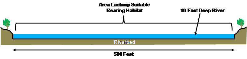 Figure 1. Cross-sectional profile of the upper Sacramento River in an area 500 feet wide and 10 feet deep (scale is approximate).