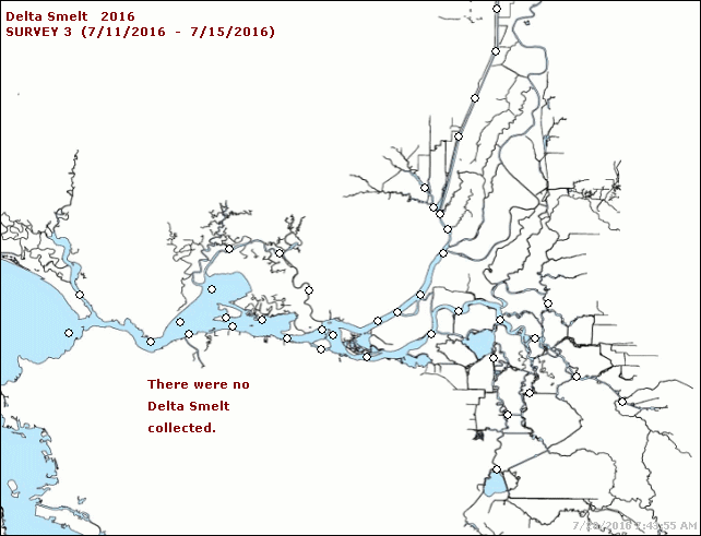 Figure 7. Delta Smelt catch per 10,000 cubic meters in June 2016.
