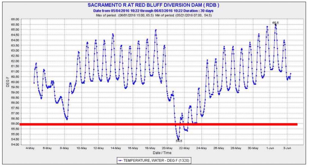 Figure 1.  Water temperature in Sacramento River at Red Bluff (RM 243) in spring 2016.  Red line depicts Basin Plan limit of 56°F for river at Red Bluff.  