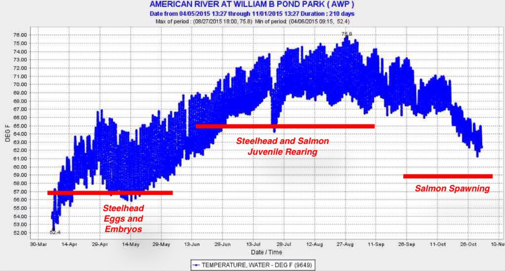 Figure 2. Water temperature in the American River at William Pond Park at the downstream end of the river’s spawning reach in 2015. Red lines depict water temperature objectives set for salmon and steelhead spawning and rearing.