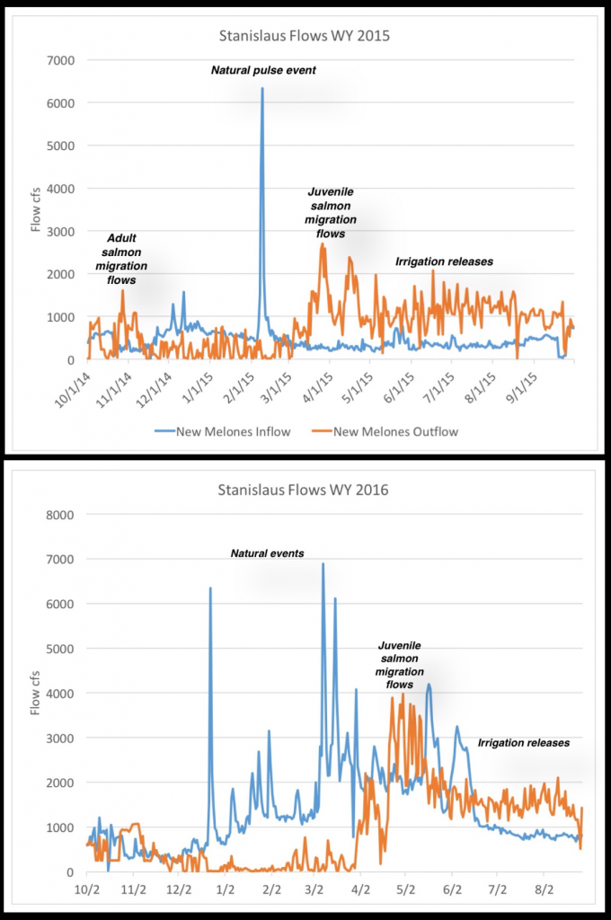 Figure 5. New Melones Reservoir inflow (blue line) and outflow (orange line) in water year 2015 (top) and 2016 (bottom). Note prescribed fall and spring pulse flow releases for salmon and steelhead.