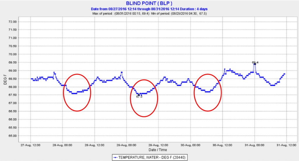 Figure 5. Water temperature in summer 2016 at Blind Point in the lower San Joaquin channel (magenta line in Figure 2). Red circles denote periods when X2 approached Blind Point.