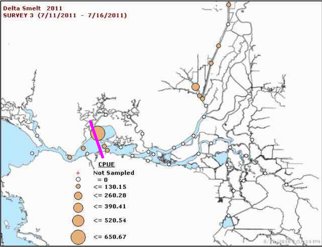 Figure 7. Concentrations of Delta smelt in the Summer Townet Survey July 2011. Magenta line is location of X2.