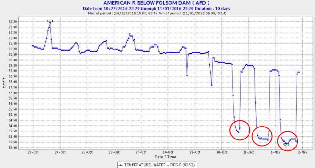 Figure 2. Temperature of the water released from Folsom Dam Oct 21 – Nov 2, 2016. Red circles show the release of water from Folsom’s cold-water pool.