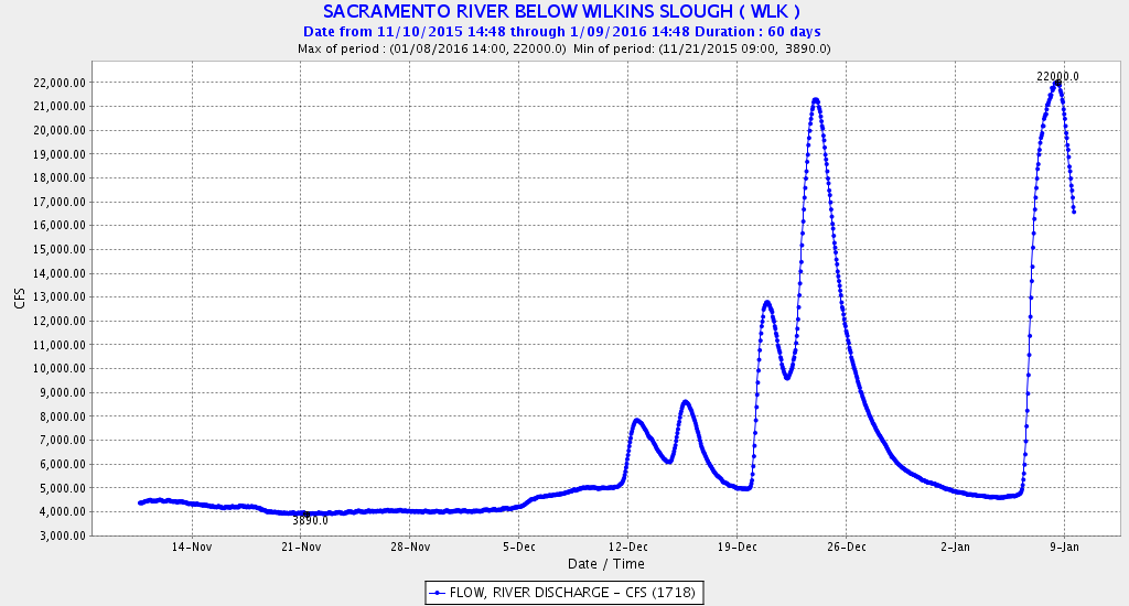 Figure 2. Lower Sacramento River flow at Wilkins Slough in late fall 2015. 