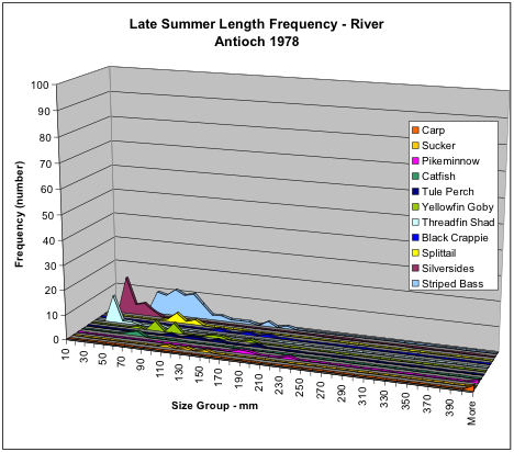 Figure 4. Numbers of fish collected in late summer 1978 along San Joaquin River shoreline near Antioch by species and size. Note the relatively high numbers of striped bass relative to silversides and threadfin shad.