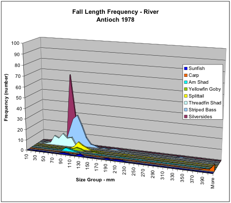 Figure 6. Numbers of fish collected in fall 1978 in San Joaquin River shoreline near Antioch by species and size. Note silversides were relatively abundant along with striped bass and threadfin shad.