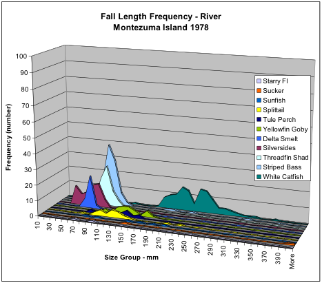Figure 7. Numbers of fish collected in fall 1978 in Sacramento River shoreline near Montezuma by species and size.