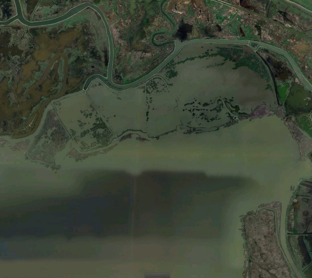 Figure 2. Flooded Wheeler Island on north shore of Honker Bay. Island levees breached in 2005 and have been marginally repaired. Without active management such sites may become permanently breached and actively eroded. See Figure 1 for location. (Source: GoogleEarth)
