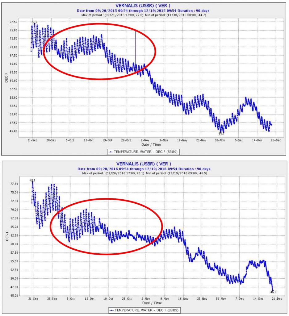 Figure 5. Fall water temperature of San Joaquin River at Vernalis in 2015 (top) and 2016 (bottom). Red circles denotes key salmon migration period when fall flow prescriptions occur. Note higher water temperature in 2015 compared to 2016, which had higher fall flows. Source: CDEC.