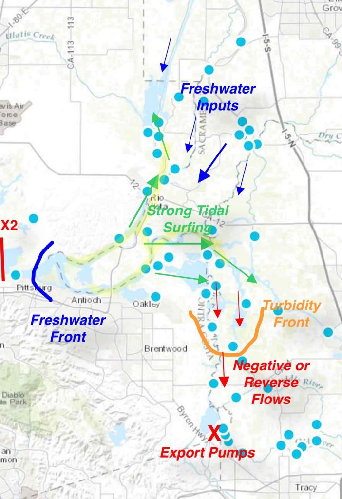 Figure 1. Mid-December 2016 Risk factors assessed by the Smelt Working Group in advising federal and state water project managers.  Under these conditions, adult Delta smelt are apt to enter the central Delta as they have so far in mid-December 2016 (smelt distribution shown as yellow highlight).  Direct risk to adult smelt will increase when the turbidity front reaches the export pumps.