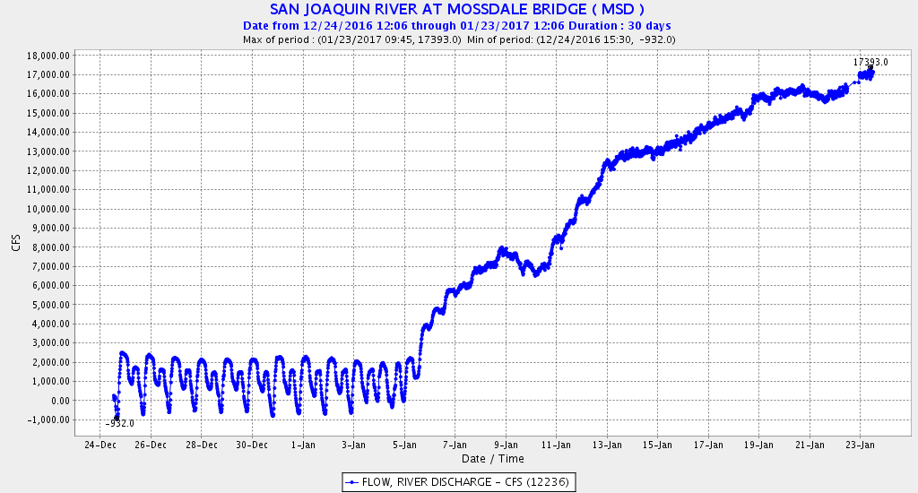 Figure 2. San Joaquin River flow at Mossdale at the head of the Delta upstream of Stockton and the Head of Old River. Note that on Jan 6 when flow reached about 6,000 cfs, the tidal signal dissipated when flow overcame the tidal forces.