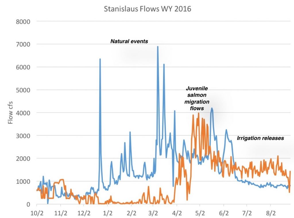 Figure 3. Spring snowmelt (natural flow – blue line) is retained in New Melones Reservoir except for prescribed irrigation releases and salmon migration flows (orange line – reservoir releases to lower Stanislaus River). (CDEC data)