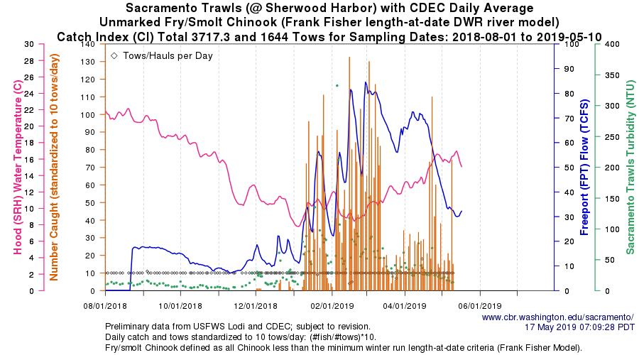 Figure 4. Trawl catch of juvenile salmon at Sacramento (river mile 50) winter-spring 2019. Note high flow of 30,000 cfs in early May from major contributions from Feather-Yuba and American rivers.