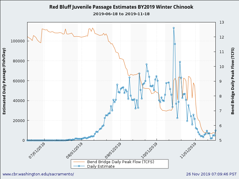 Figure 3. Daily estimated juvenile winter-run salmon passage per trap day at Red Bluff in the upper river, also showing river flow in summer and fall 2019.