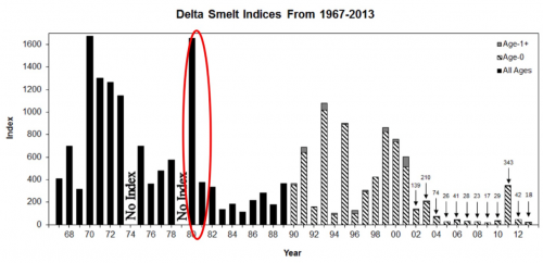 Figure 1. Fall Midwater Trawl Index for Delta smelt 1967-2013. (Source: CDFW.)