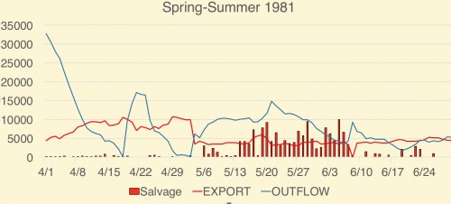 Figure 3. Spring salvage of juvenile Delta smelt at South Delta export pumps in 1981. Delta smelt juveniles begin reaching salvageable size (>20 mm) in early May. Also shown is export rate (cfs) and Delta outflow (cfs). The maximum allowed exportsrate is 11,400 cfs. (Data Source: CDFW)